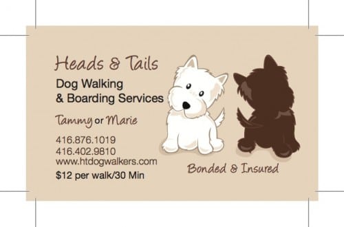 Dog Grooming Business Names Ideas Dog Grooming Business Names Ideas